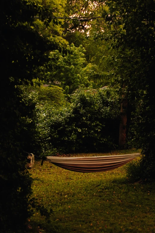 a park bench surrounded by trees and grass