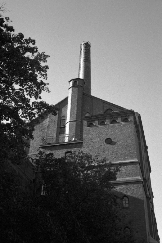 a tall building sits in the trees