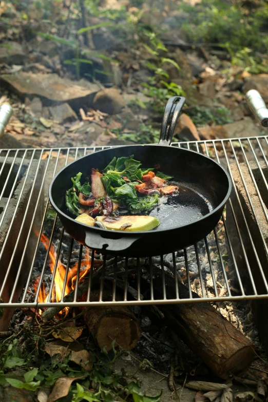 a set over a fire cooking meat and vegetables