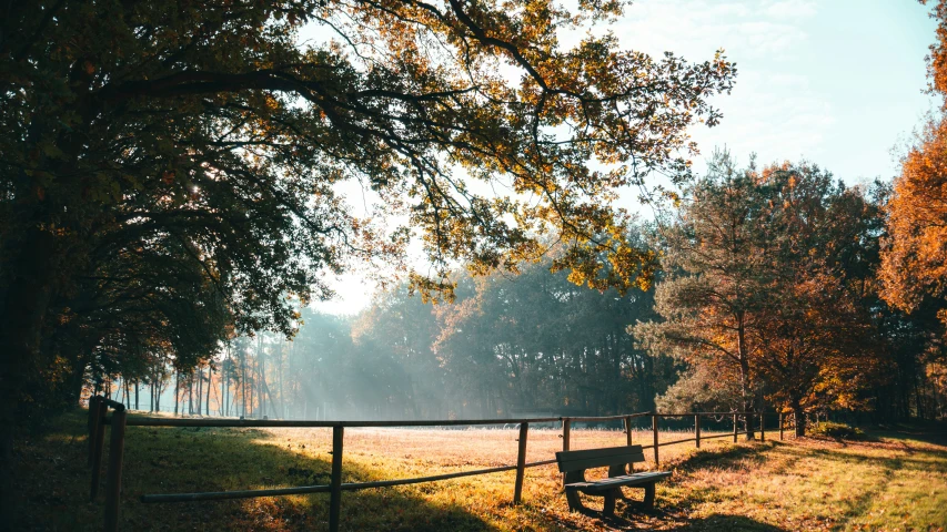 an empty bench is located in the shade of the trees