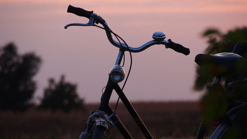 a bicycle is parked next to a tree