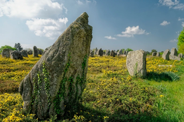 a field with several large rocks sitting around it