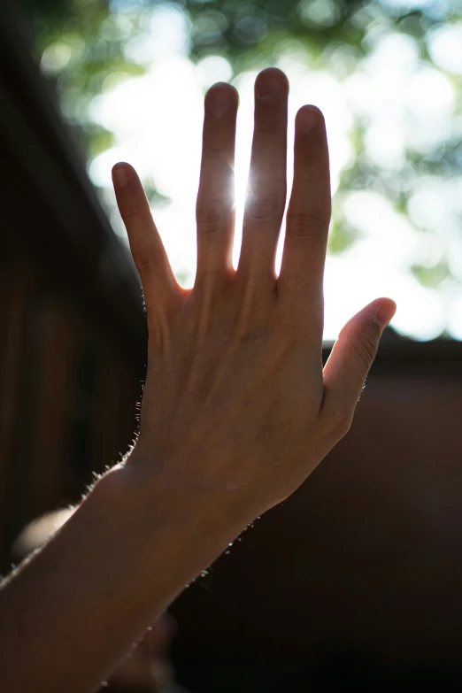 the hand and the palm of a person are extended