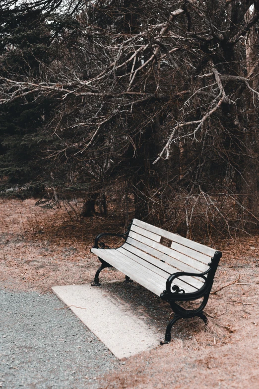 an empty park bench in the grass next to a path