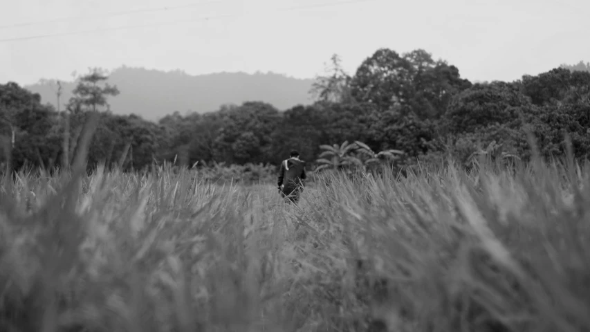 a man walking through a field of tall grass