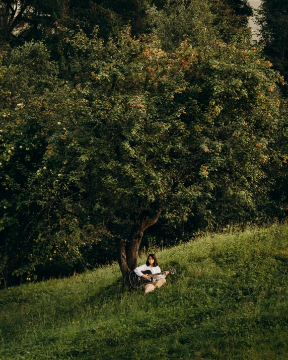 two people sit in a field under the shade of a tree