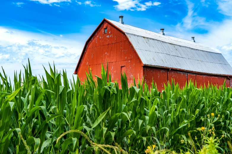 a red barn surrounded by lush green fields