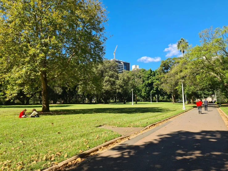 a park full of green and lush trees with a person laying on the ground