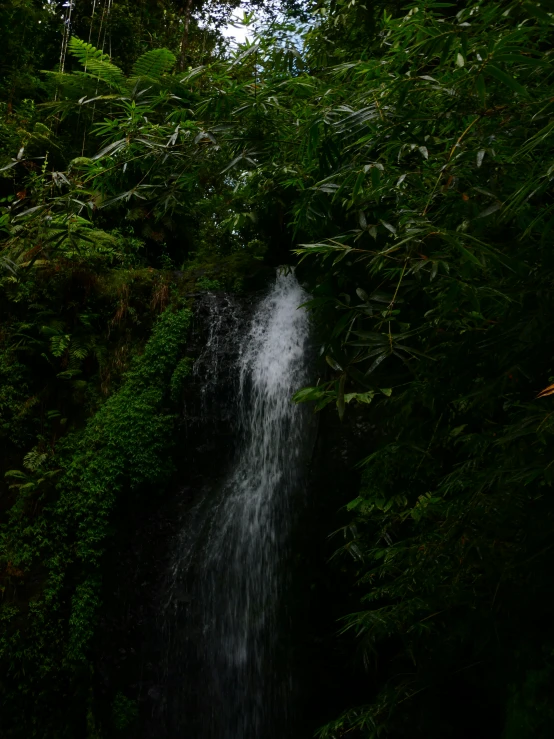 a waterfall is flowing into a forested river