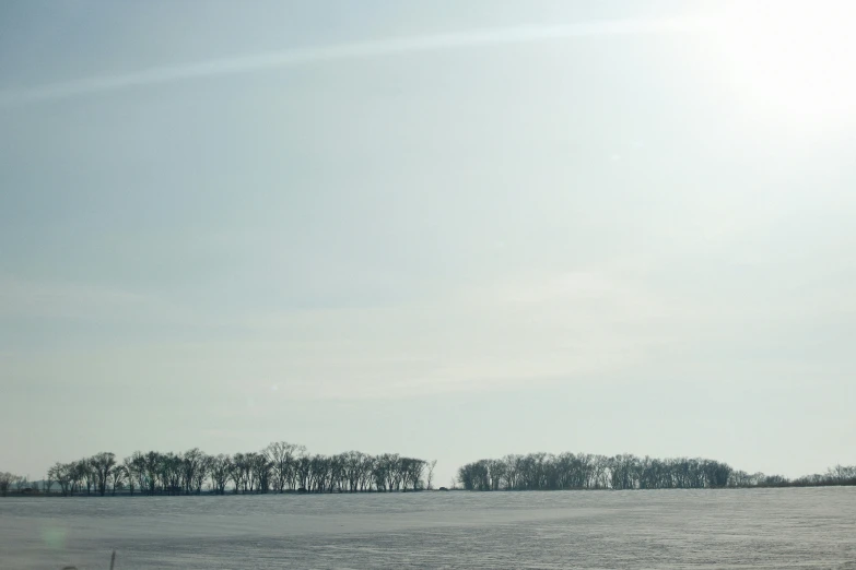 a snowy field and a forest in the distance