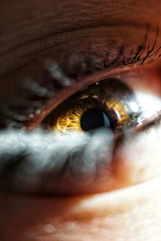 a close - up of an eye looking directly into the distance