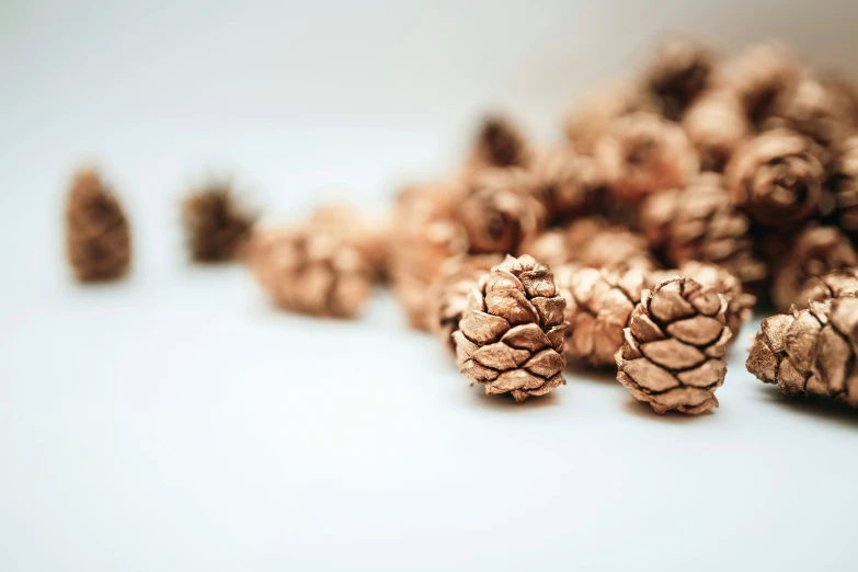 some pine cones are laying out on the table