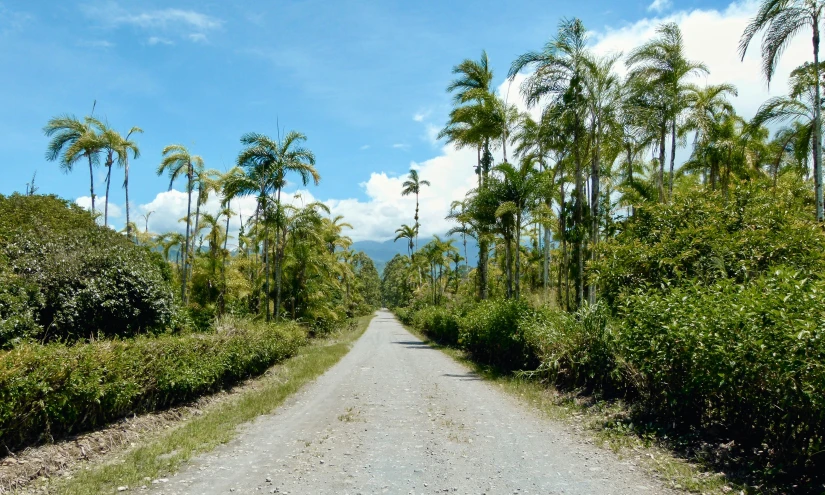 the road is going away from the camera