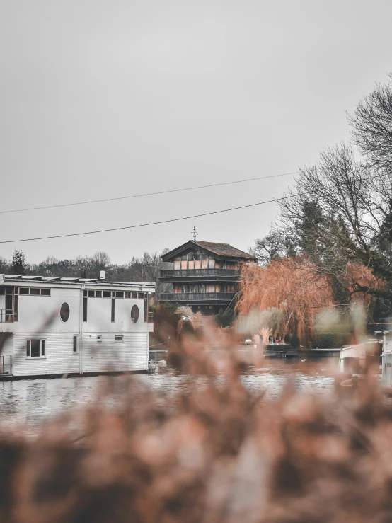 house boats sitting on a lake with a tree on the shore