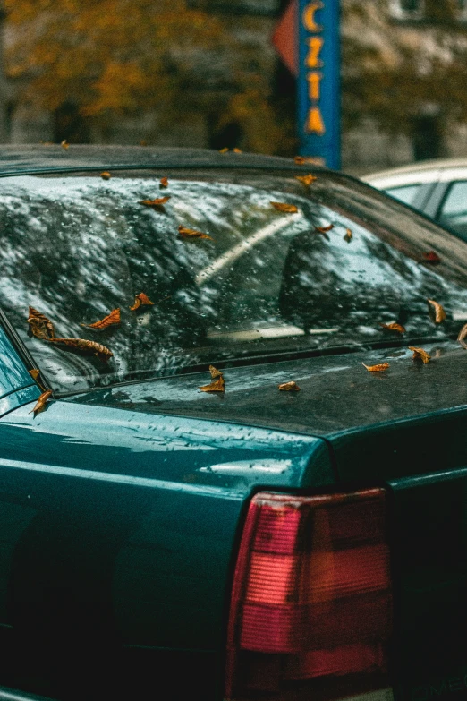 birds fly in the sky over the back of a car