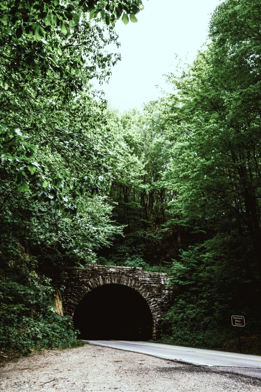 a tunnel in the woods near the road