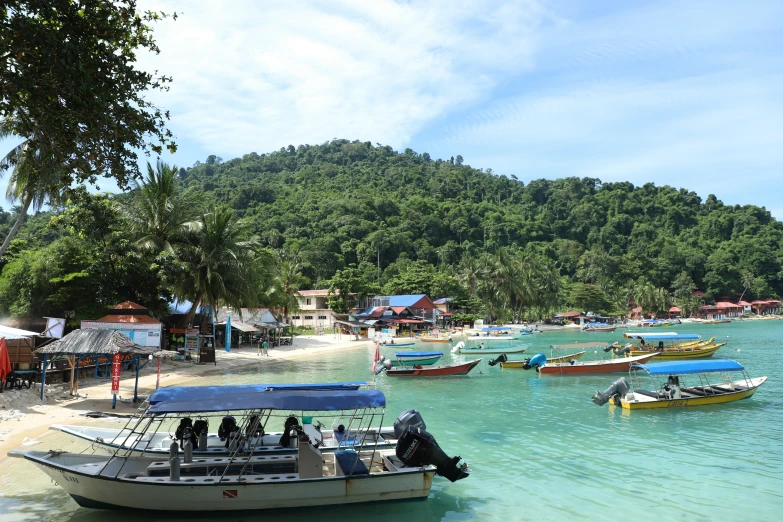 a group of boats sitting on top of a sandy beach