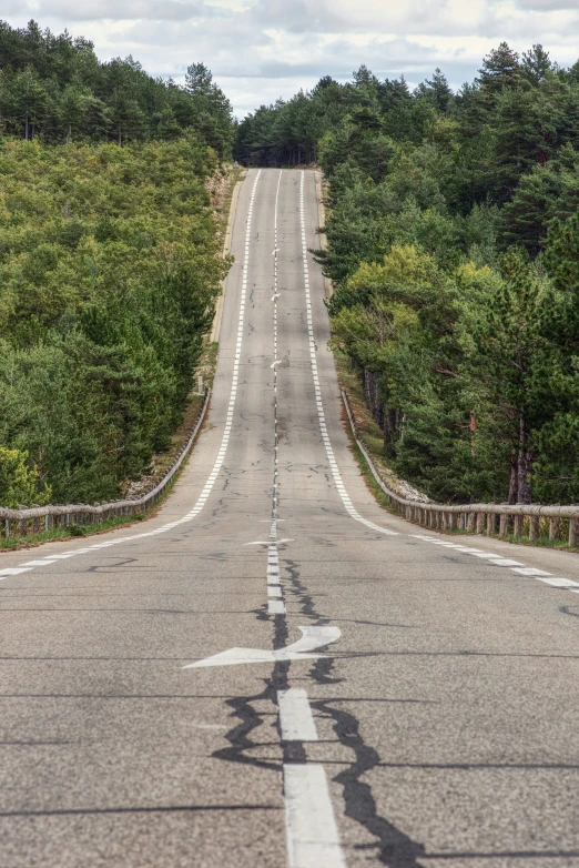 a road with a guard rail leading over it in front of trees and bushes