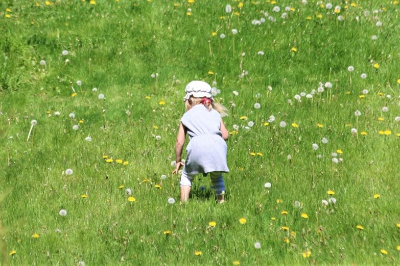 a girl with blond hair in a flowered field
