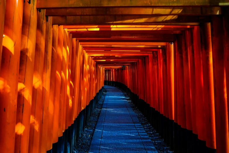 an oriental path surrounded by red columns