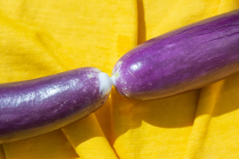 an eggplant is on the yellow background