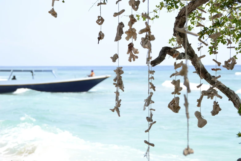 boat passing by an area with large amount of shells