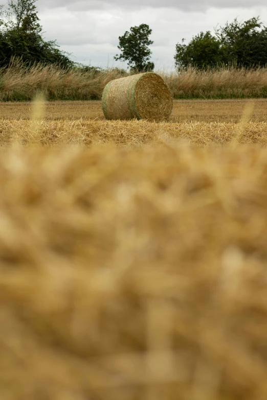 a couple of straw bales that are in a field