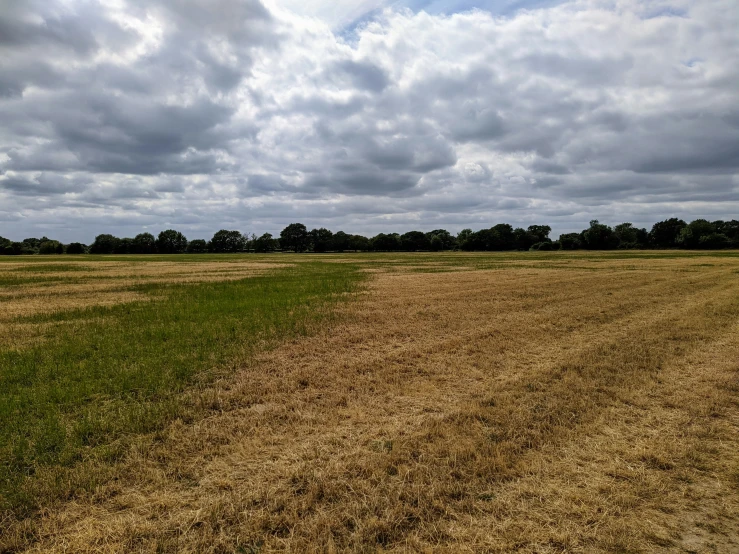 there is a field with sp grass and many clouds in the distance