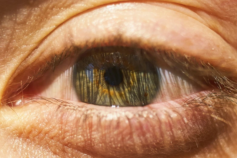 a close up s of an eye looking to its left