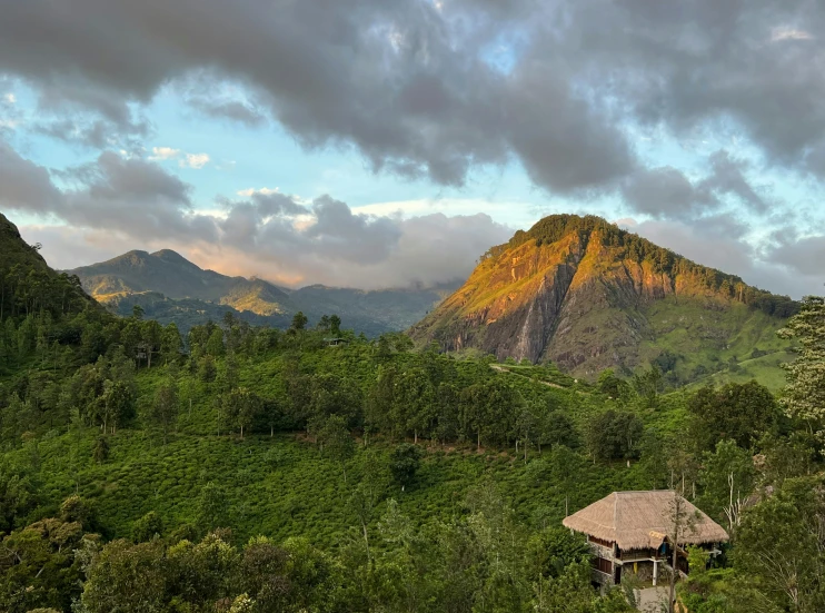 a hut is nestled in the trees overlooking the mountain