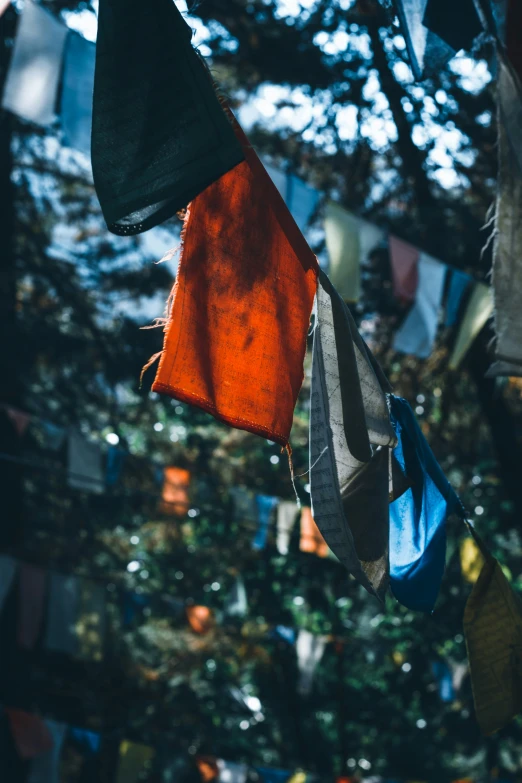 many colorful bags hanging from the clothesline near some trees