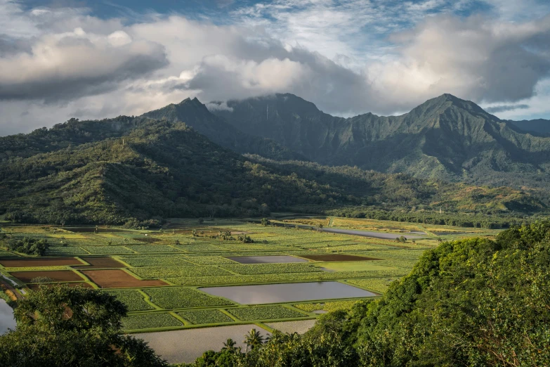 a mountainous landscape with a lake in the foreground