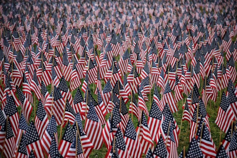 a bunch of flags are shown together in an open field