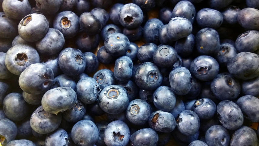 close up of blueberries with a lot of space to fill it