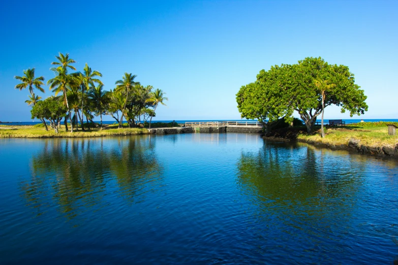 a lake near some palm trees with the ocean in the background