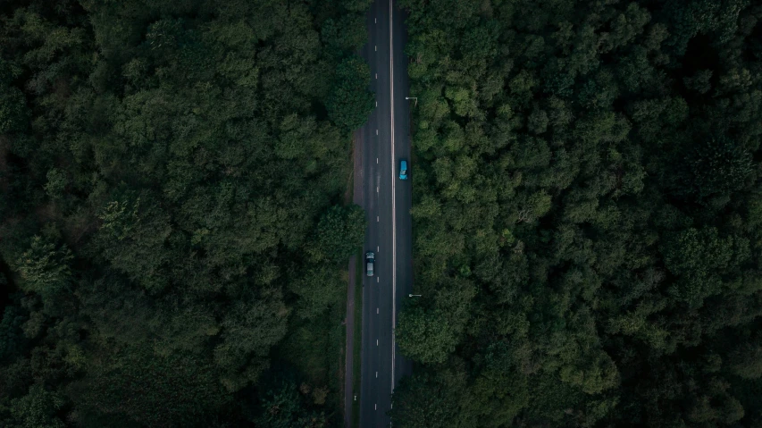 a long road in the middle of the woods