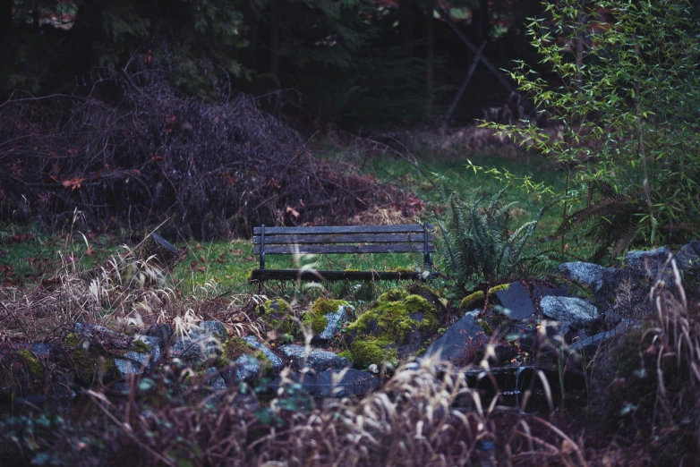 a wooden bench sitting in the middle of a forest