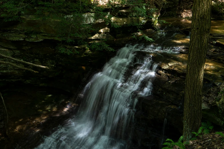 there are some trees and a long waterfall