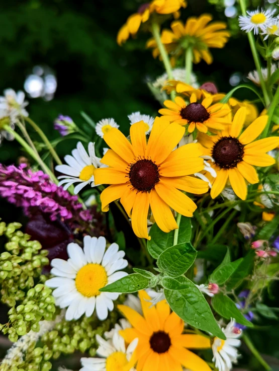 a bouquet of various colorful flowers are pictured