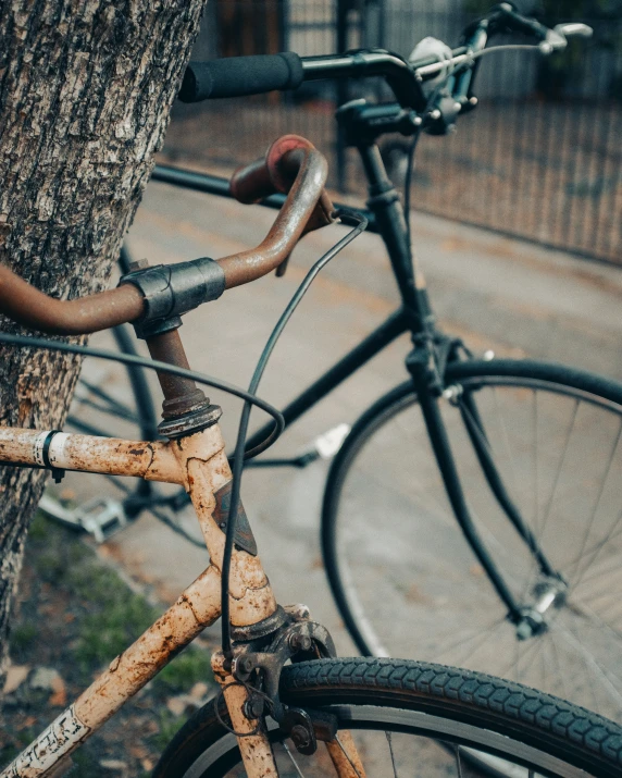 a bicycle parked in front of a tree on the side of a road