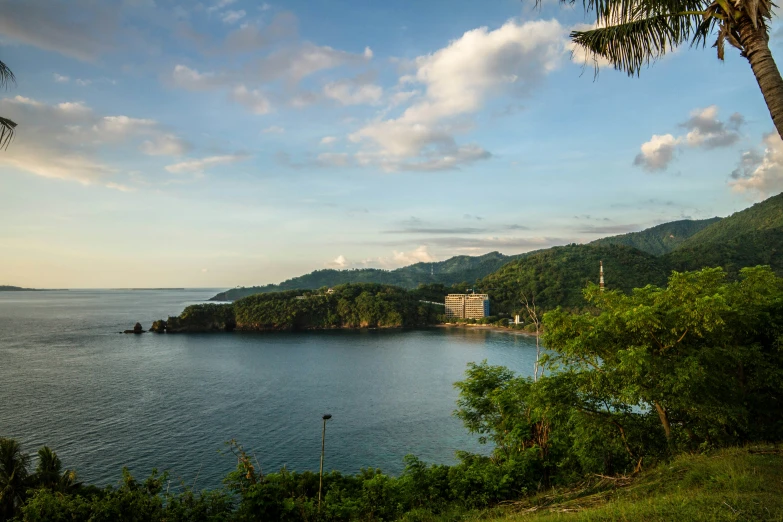 a view of a body of water and some trees