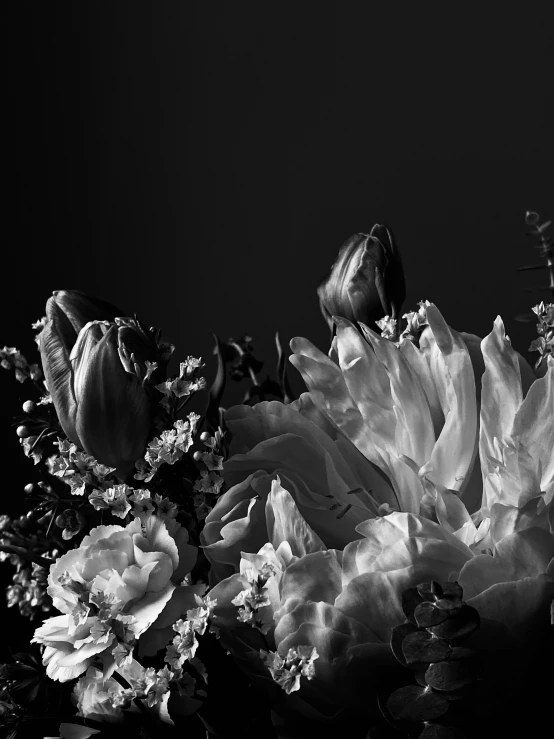 a group of white and gray flowers on black