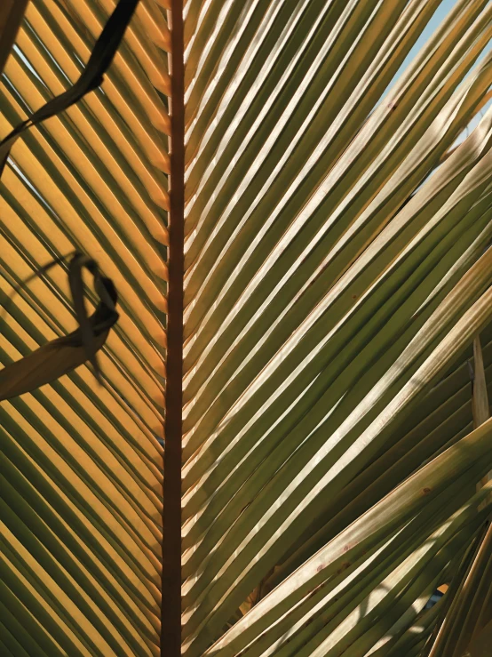 a long wooden shutter on the outside of a house