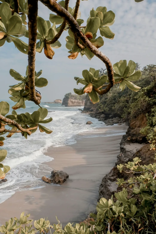 a beach with the ocean and land beyond it