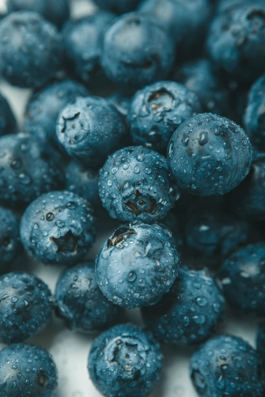 blueberries in a bowl with some dew coming off them