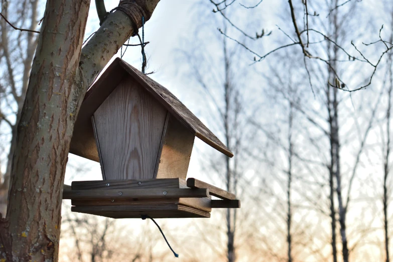 a wooden bird house hanging from a tree