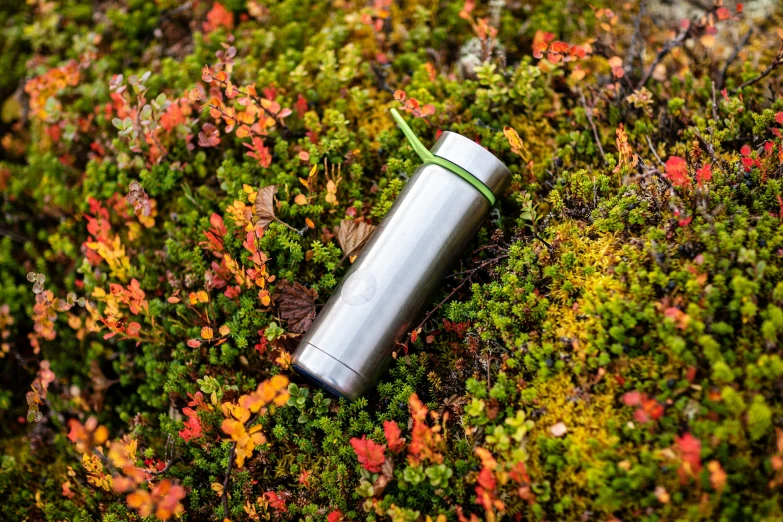 the bottle is laying on a patch of moss