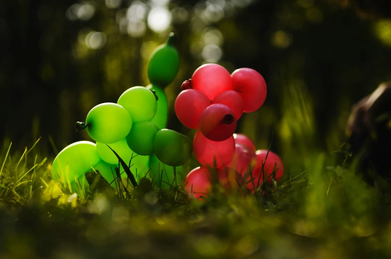 two small balloons are lying in the grass