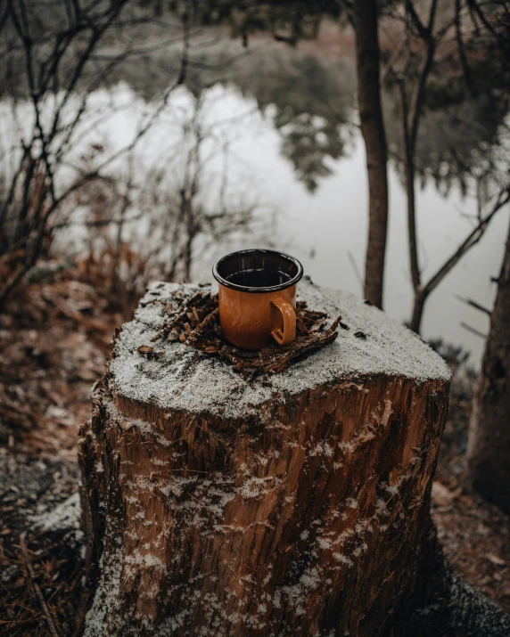 the mug sits atop a tree stump, overlooking the water