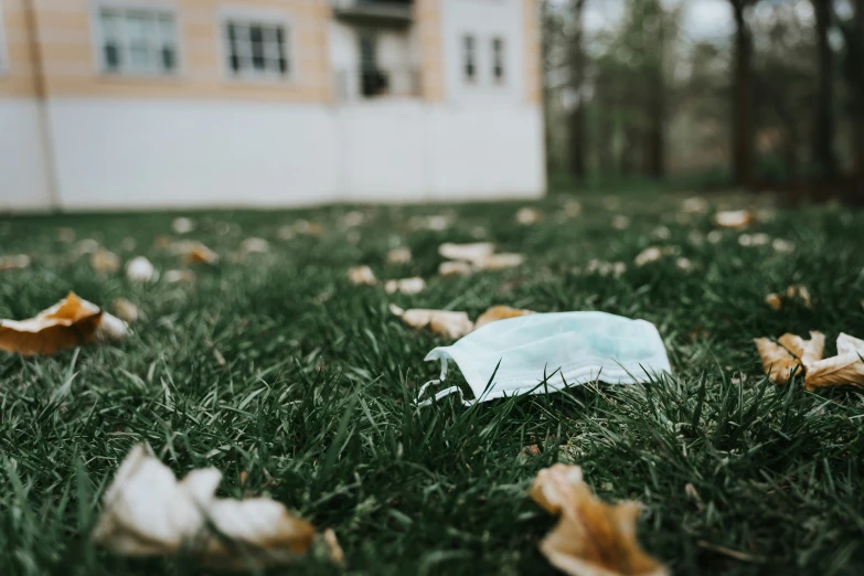 a plastic bag laying on top of a grass covered field